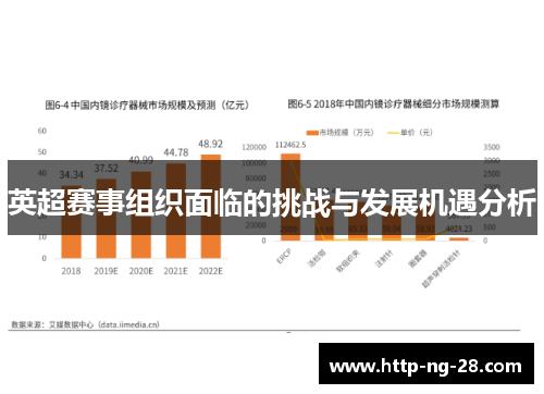 英超赛事组织面临的挑战与发展机遇分析